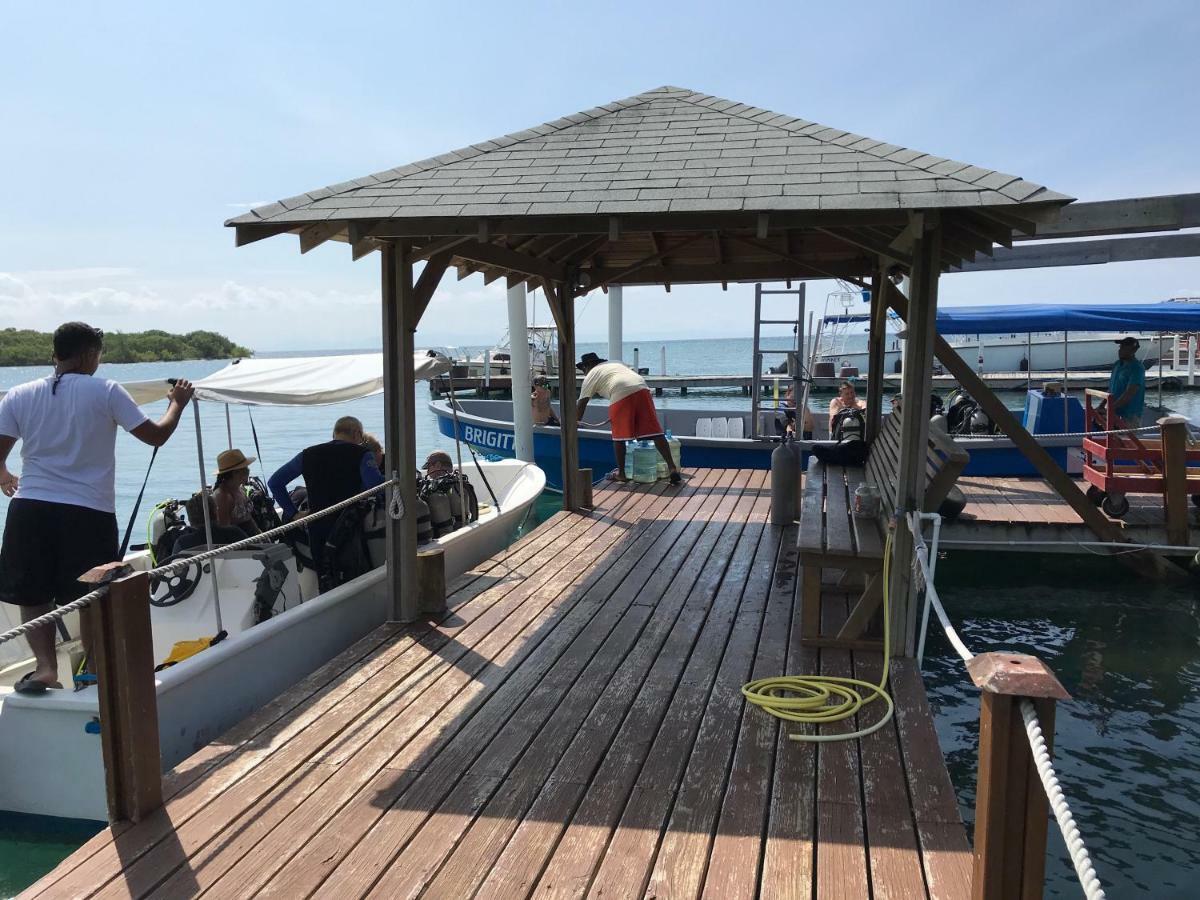 Wikkid Resort Dixon Cove 외부 사진